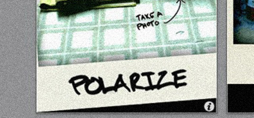 polarize