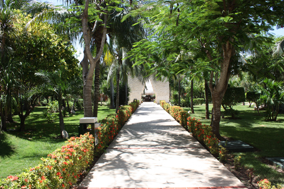 reead at cancun