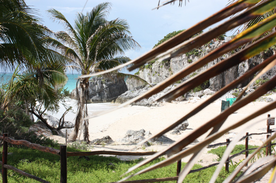 reead at cancun