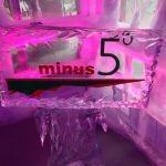 Minus 5 Ice Bar, un bar de glace à New York Minus 5 Ice Bar, un bar de glace à New York