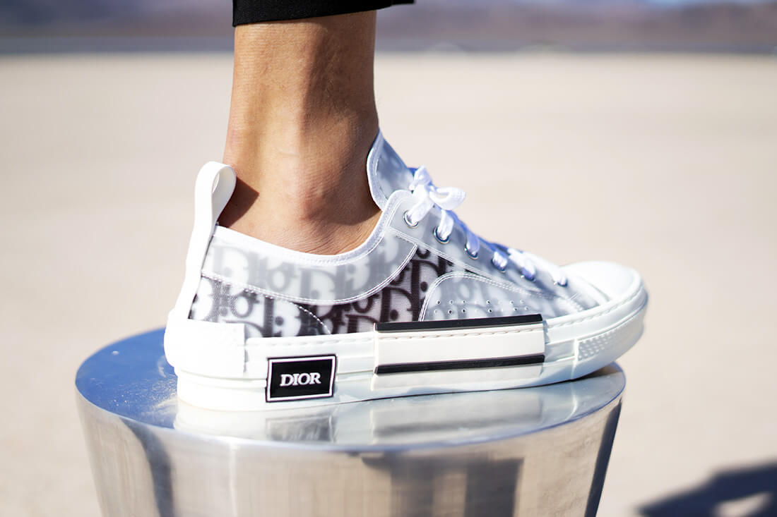Dior Homme Sneakers: Review about the OBLIQUE TECHNICAL CANVAS