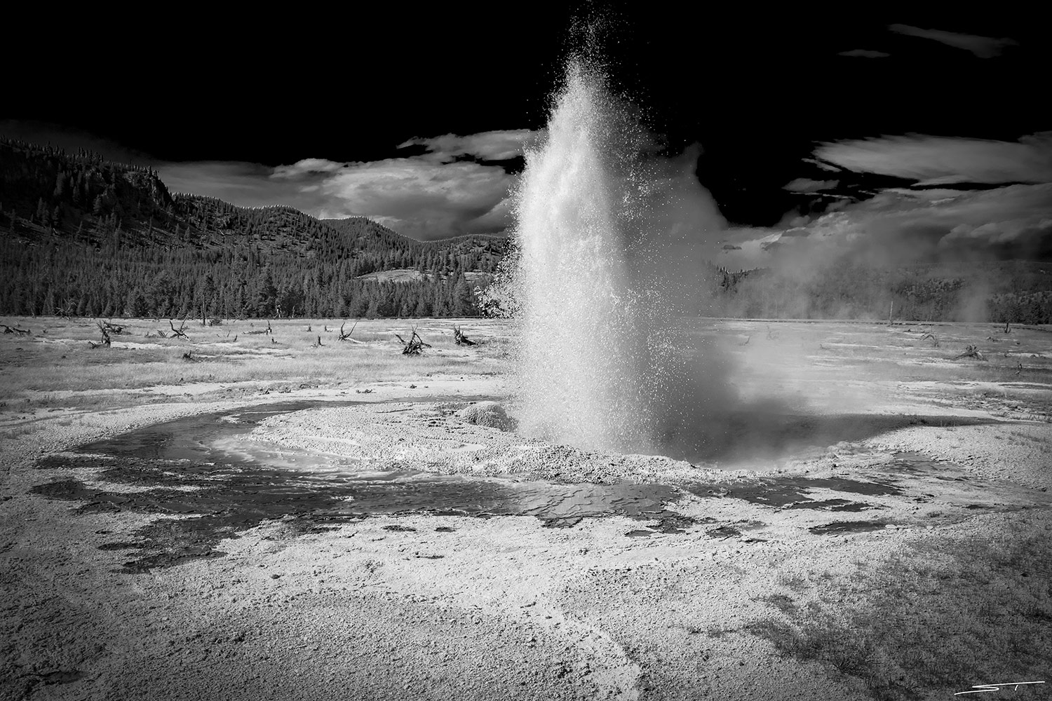 Geyser yellowstone park