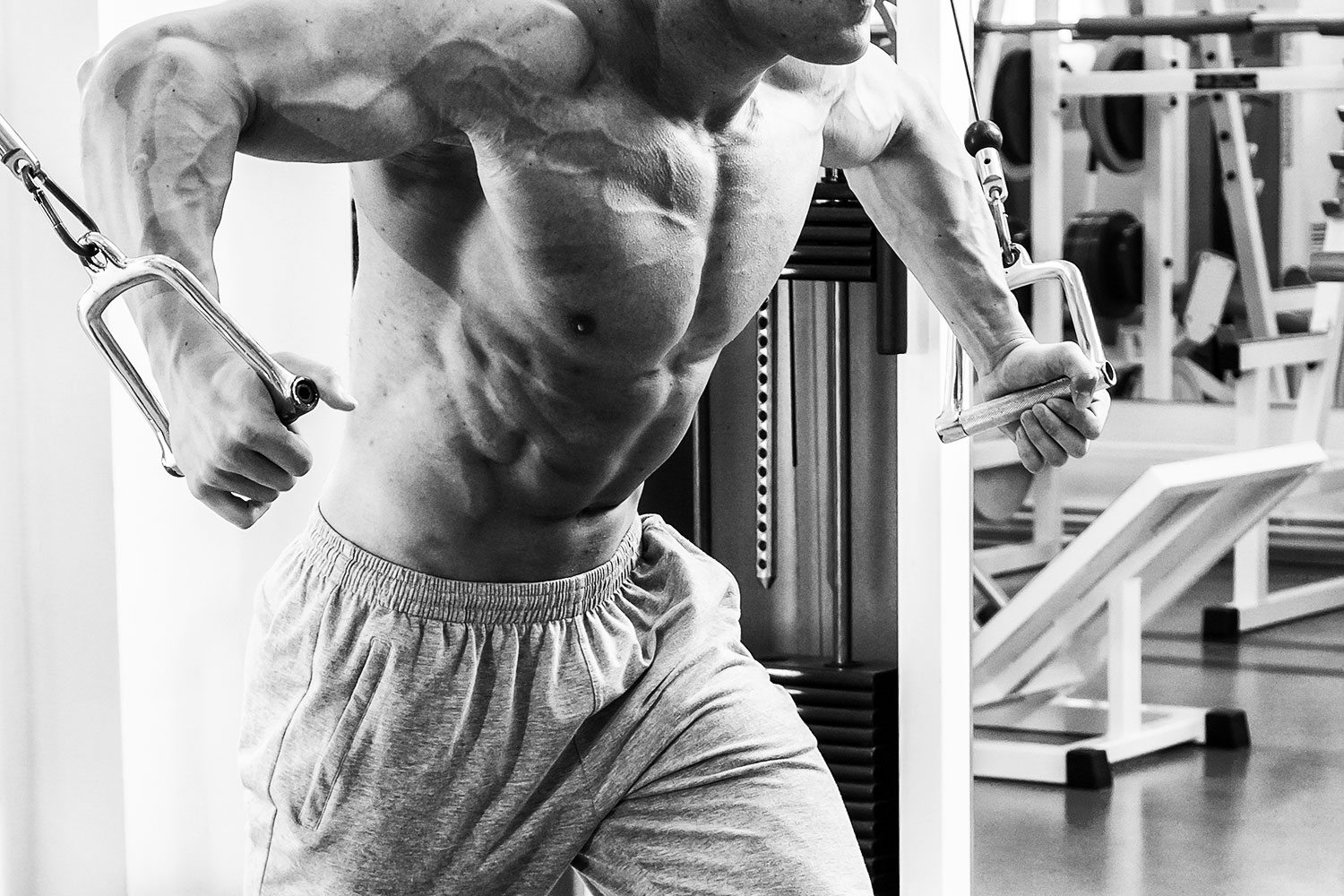 Chest training for beginners