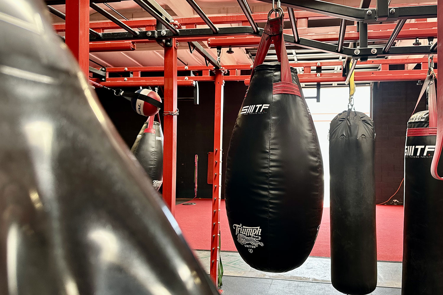 punching bag at the gym