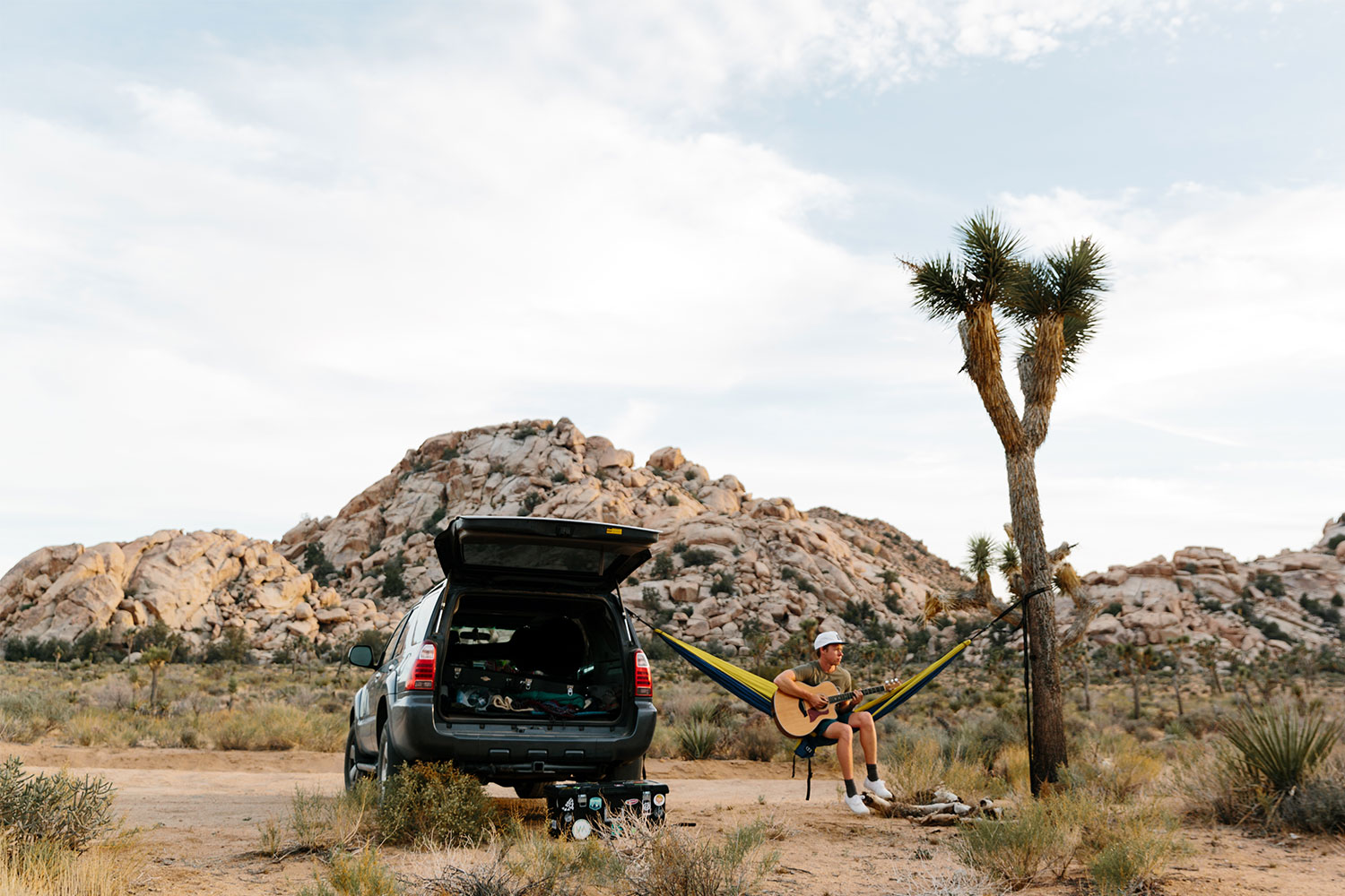 Joshua Tree