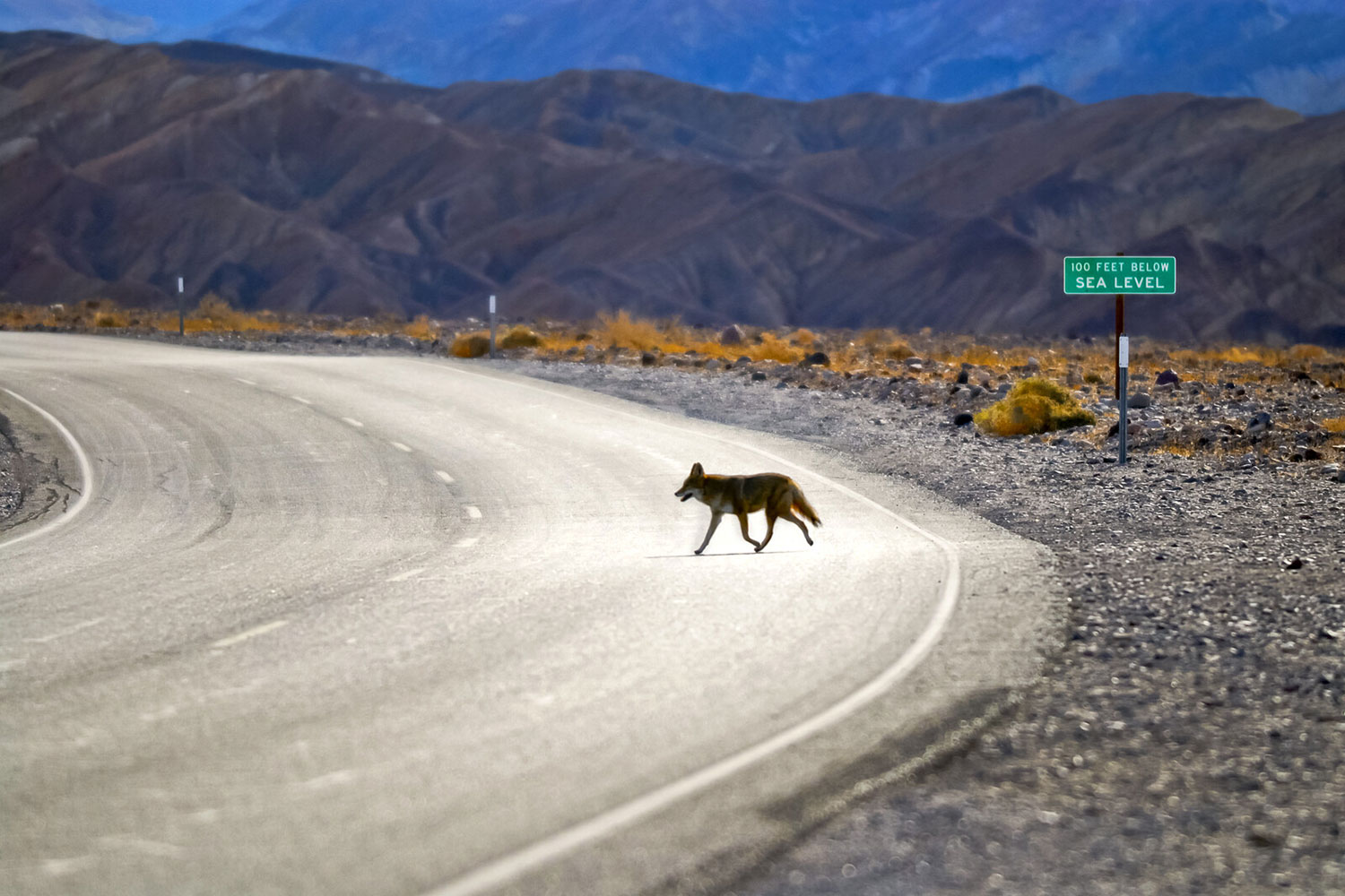 Death Valley National Park