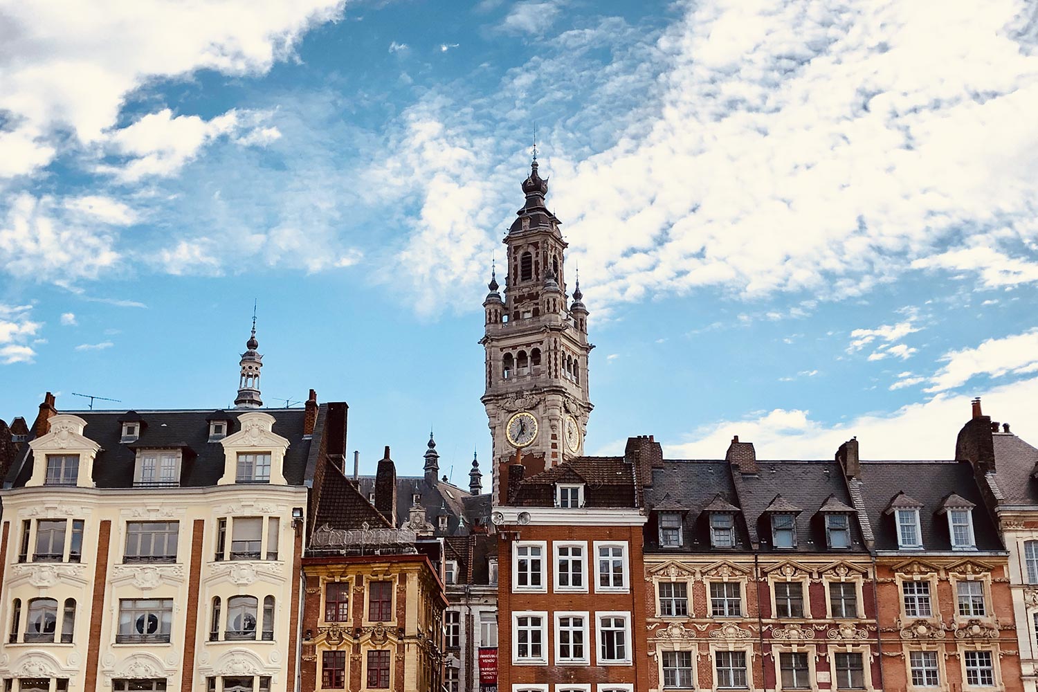 Activities in north of France, Lille.