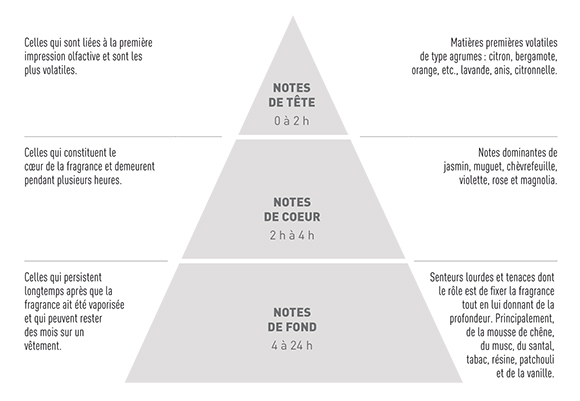 Pyramide Olfactive