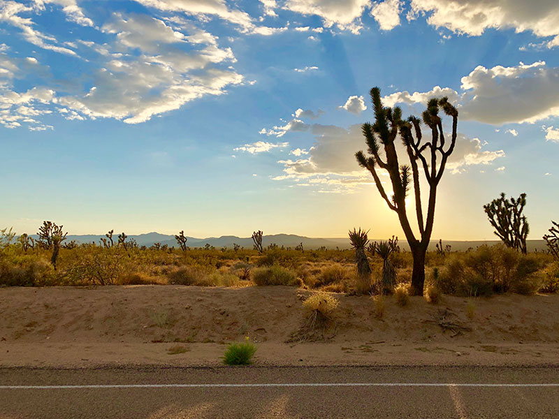 photo de la route 66