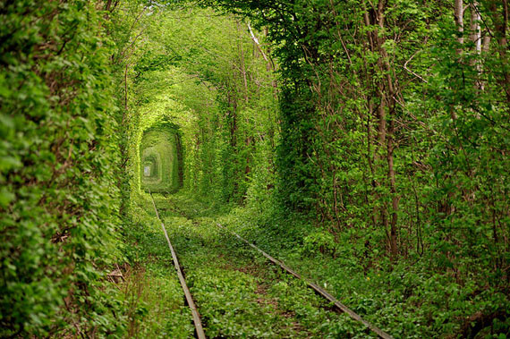 Tunnel of love