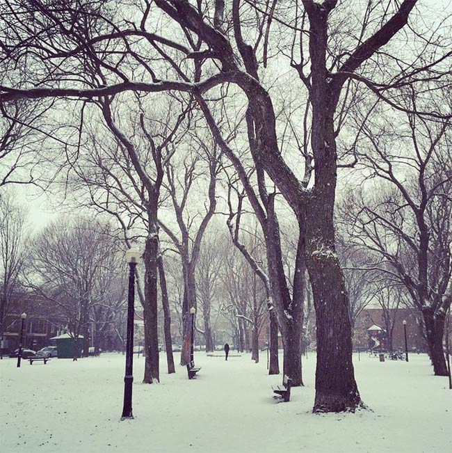 Montréal en hiver