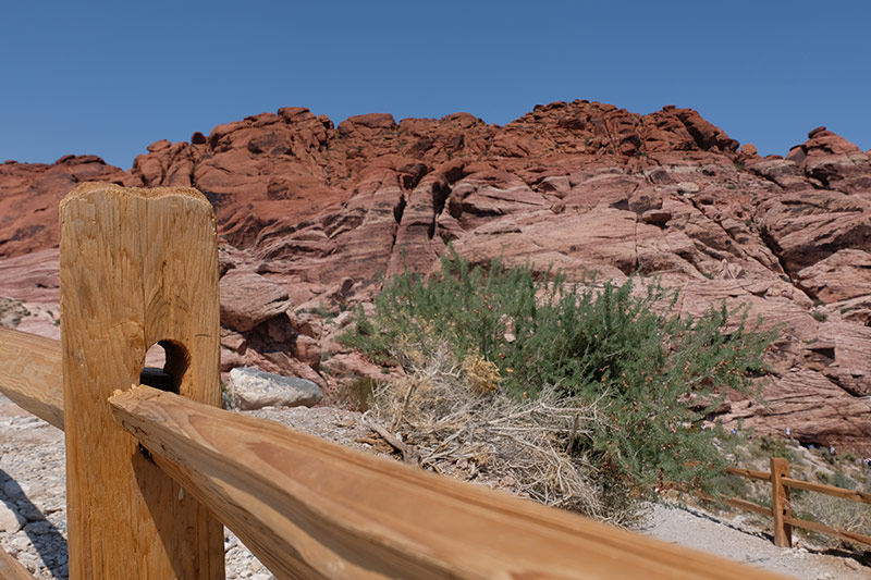 red rock canyon