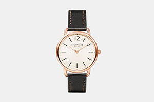 Montre Delancey Avec Bracelet Fin En Cuir Coach Homme