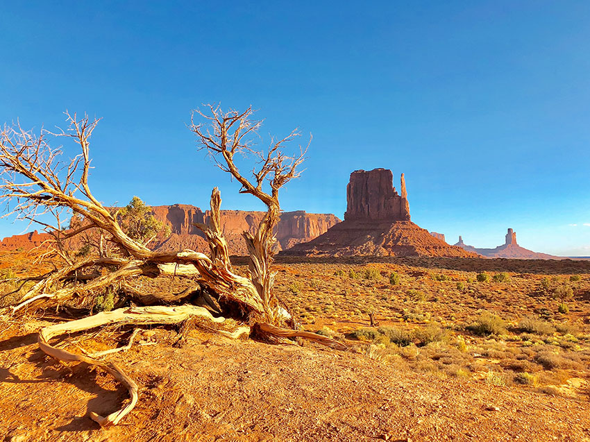 photo du grand canyon