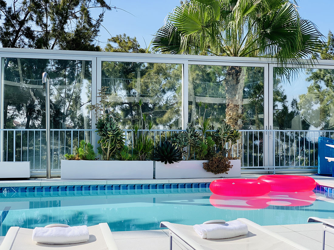 piscine standard hotel hollywood