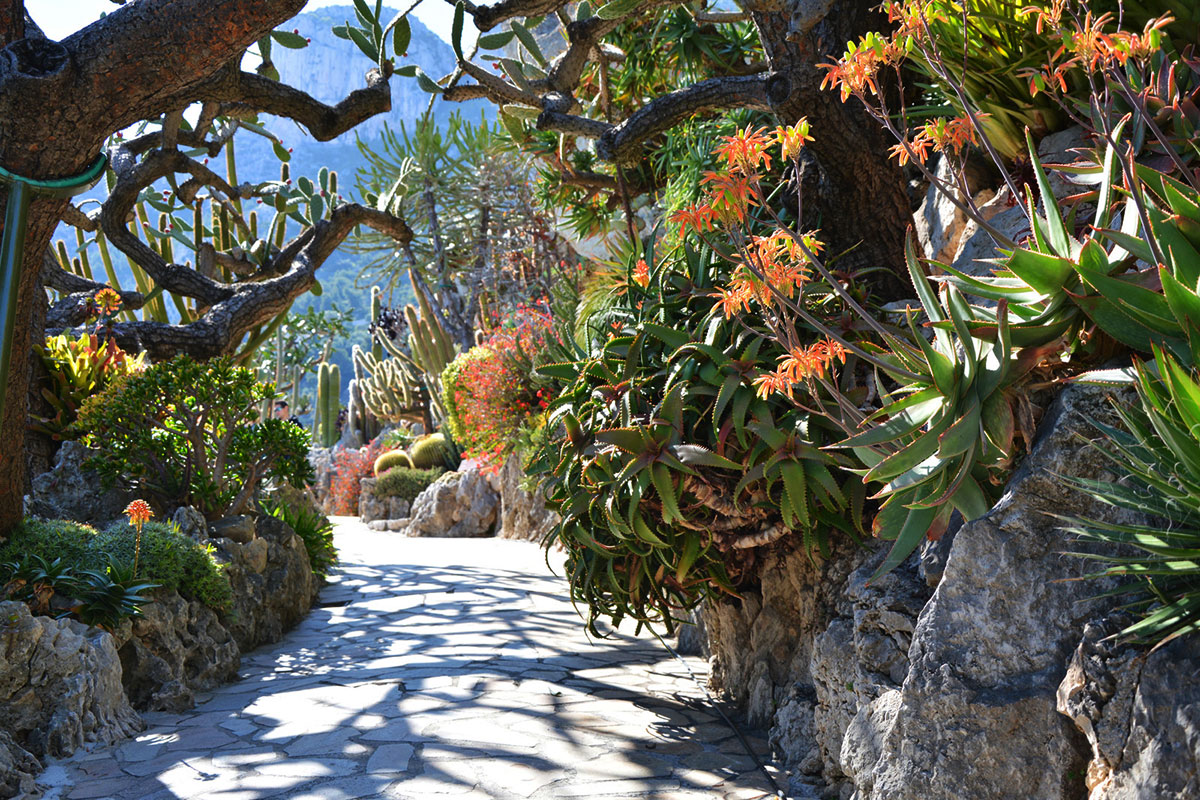 jardin exotique de Moncaco