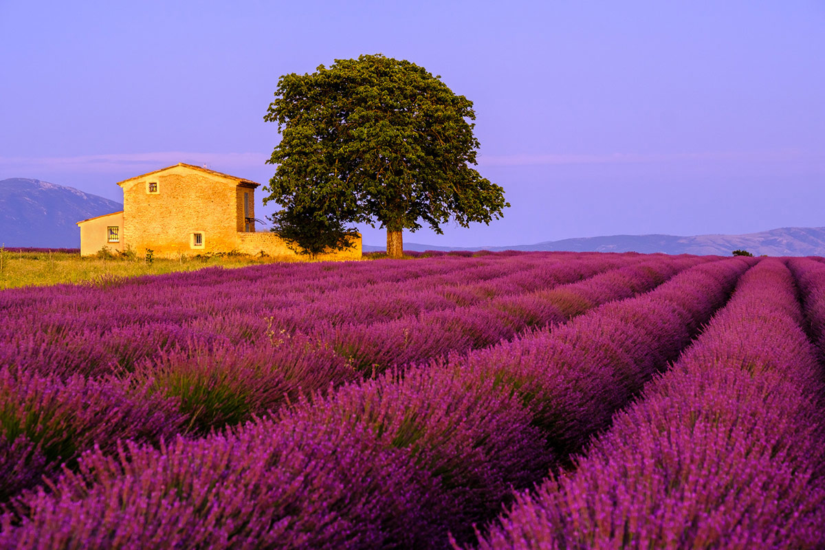 road trip dans le sud de la France