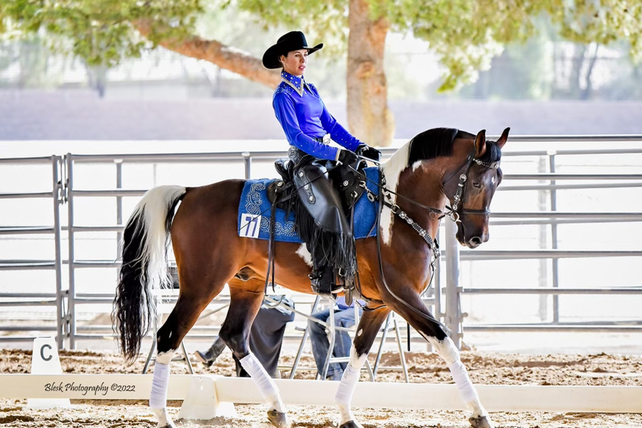 Équipement équitation pour débutant