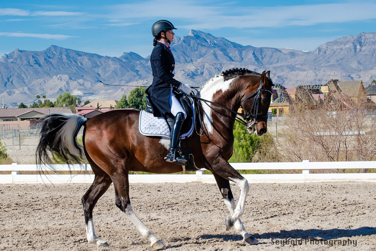 Équipement équitation pour débutant