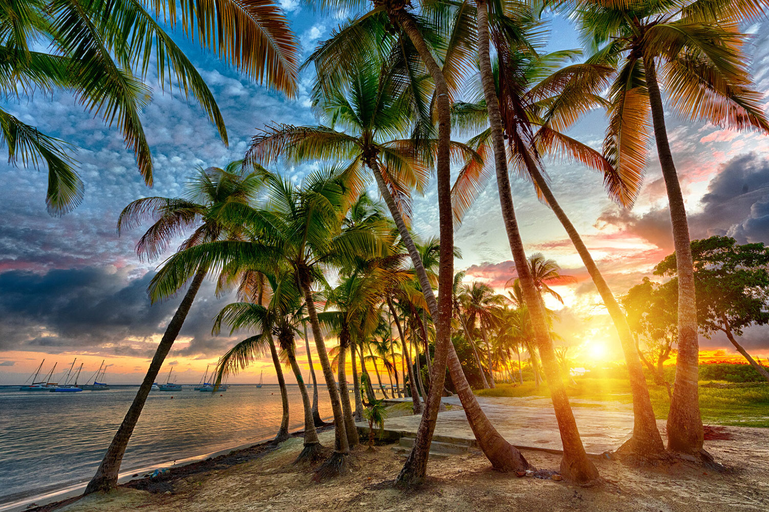 croisiere caraibes