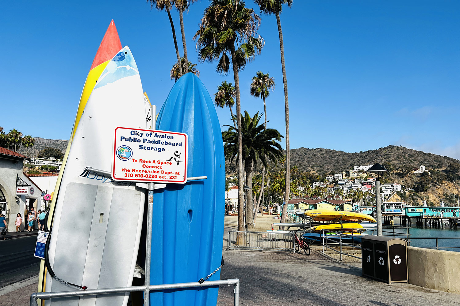 guide voyage Santa Catalina Island