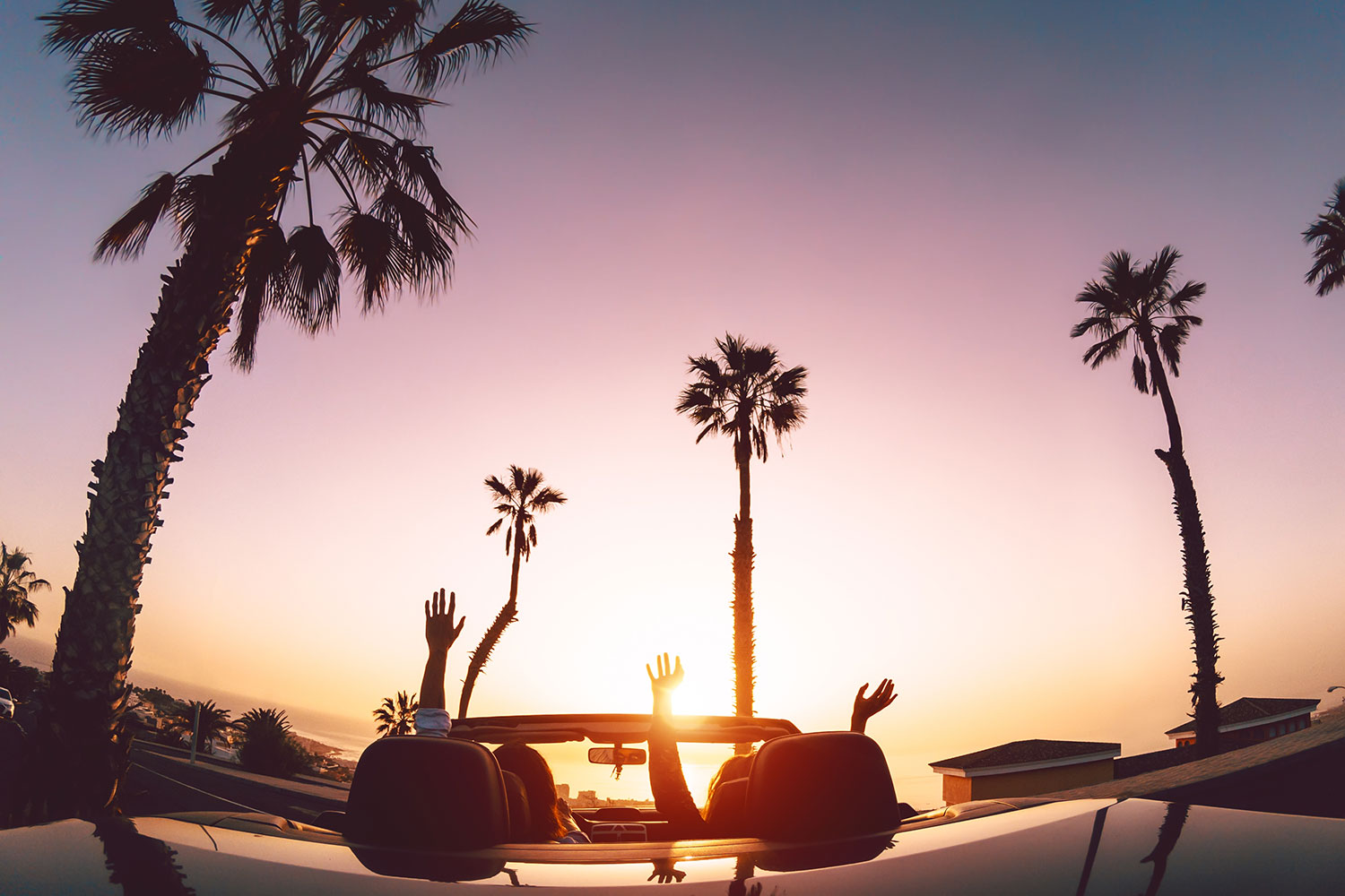 Road trip entre amis